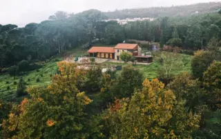 Quinta da Lage Alta | Pinheiro Grande
