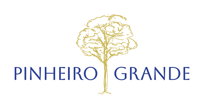 Logótipo Pinheiro Grande a cores azul e amarelo